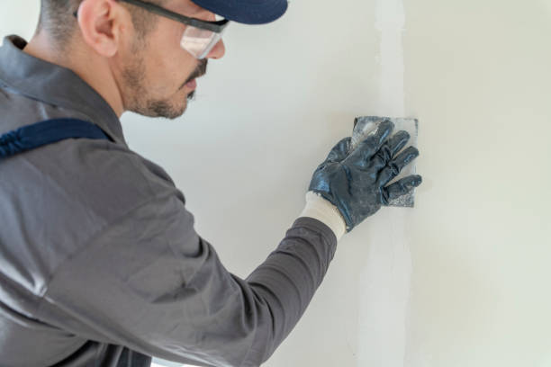 Best Mold Removal for HVAC Installations  in Saginaw, TX