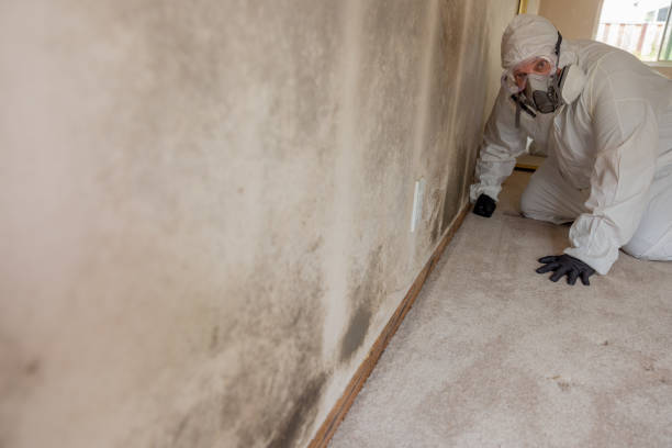 Forensic Mold Investigation in Saginaw, TX